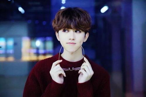 娱乐吃瓜君成毅,娱乐吃瓜界的“瓜王”